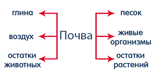 Почва