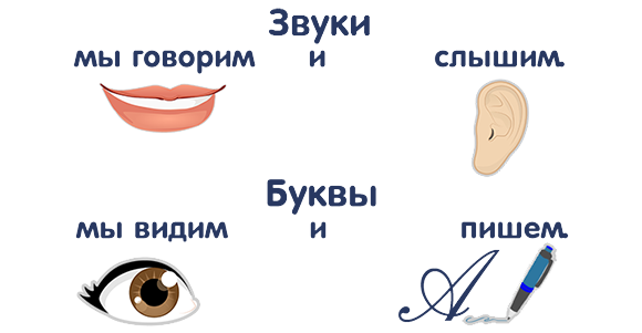 Звуки и буквы. Гласные и согласные