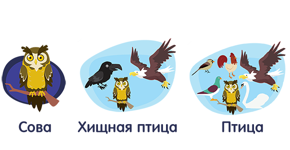 От частного к общему (группы — подгруппы)