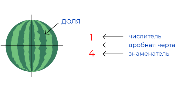Доли. Знакомство с дробями.