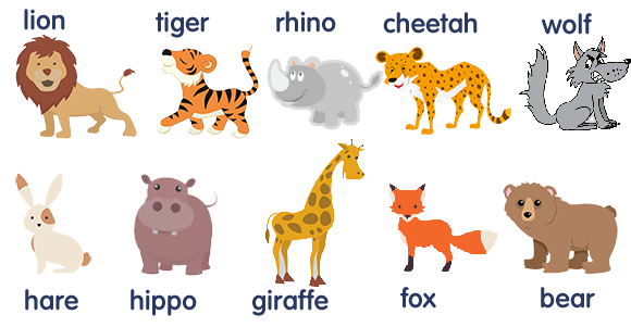 Animals (Domestic)